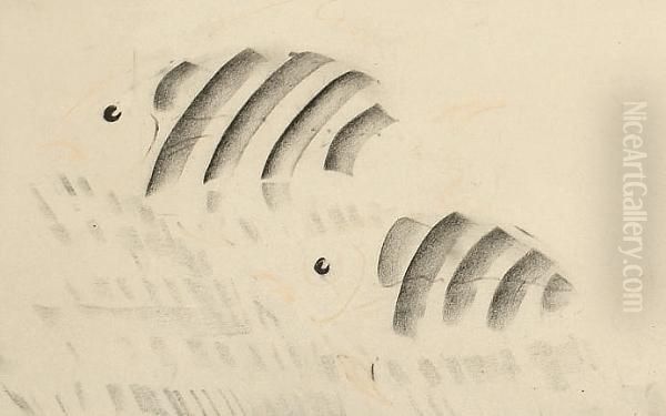 Fish - view 1