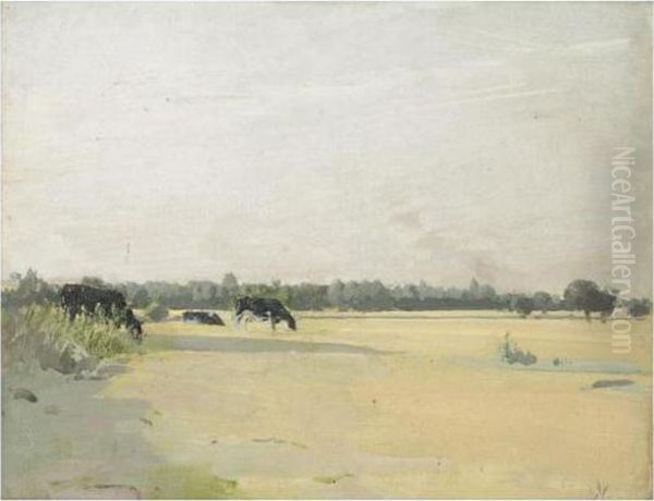 Meadows - view 1