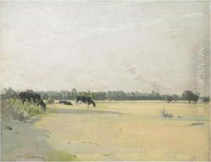 Meadows Meadows