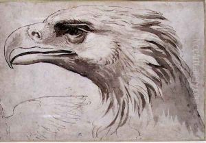 Head of an Eagle, c.1527-8 by Giulio Romano (Orbetto)
