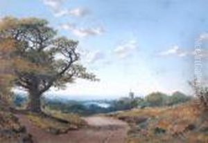 Ham Castle, Staffordshire by Edmund John Niemann
