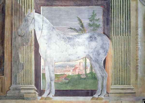 Sala dei Cavalli, detail showing a portrait of a grey horse from the stables of Ludovico Gonzaga III of Mantua, 1528 2 - view 1