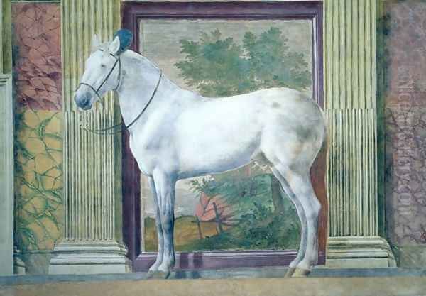 Sala dei Cavalli, detail showing a portrait of a grey horse from the stables of Ludovico Gonzaga III of Mantua, 1528 - view 1