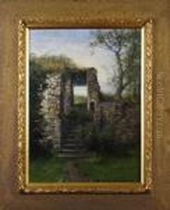 Ruin Ilandskap