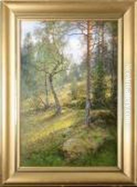 Skogsmotiv - view 1