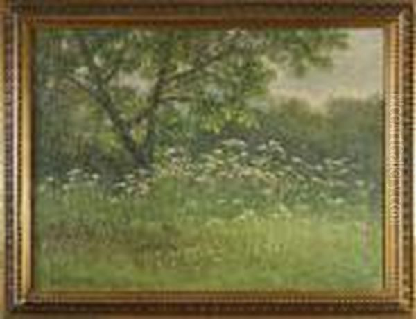 Blomstrande Landskap - view 1