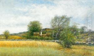 Sommarlandskap Med Gard - Halland Sommarlandskap Med Gard - Halland