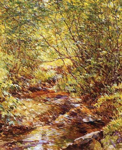 A Woodland Stream - view 1