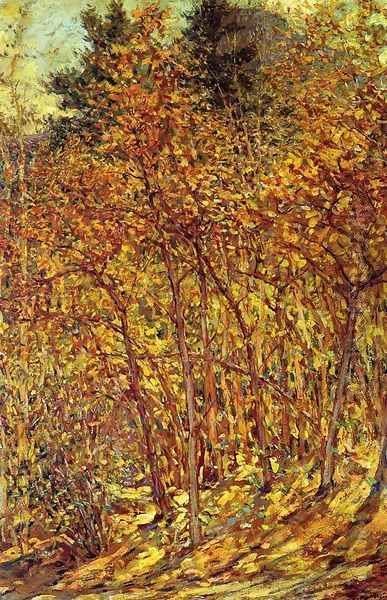 Autumn Sunlight - view 1