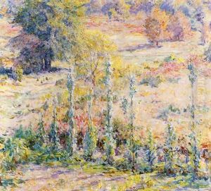 Out of My Window by Robert Reid