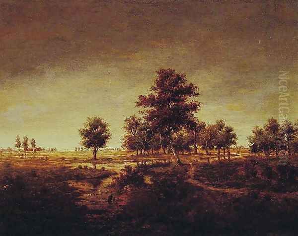 Forest at Fontainebleau - view 1