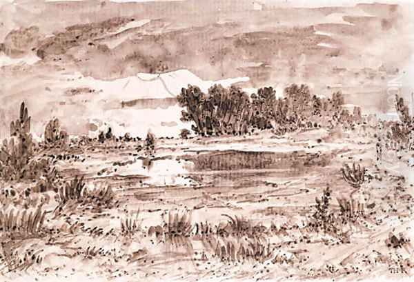 A Marsh Landscape - view 1