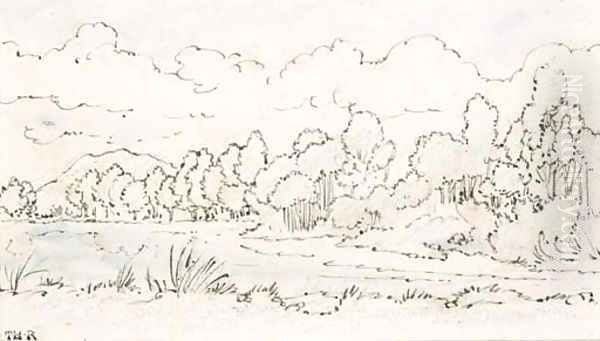 A wooded river landscape - view 1