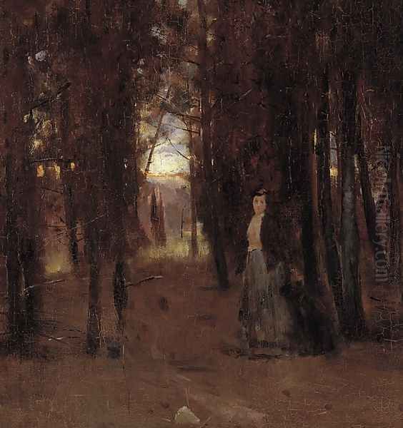 Twilight through the Forest - view 1