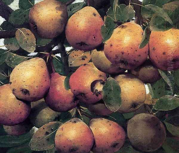 Pears - view 1