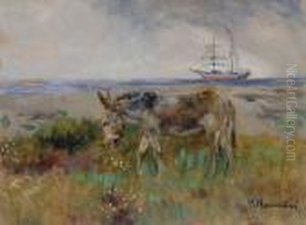Il Solitario - view 1