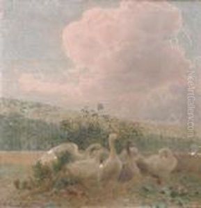 Gansos
