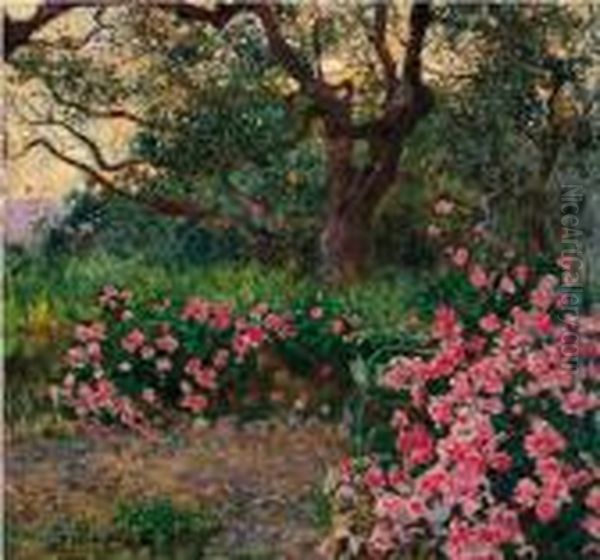 In Giardino - view 1
