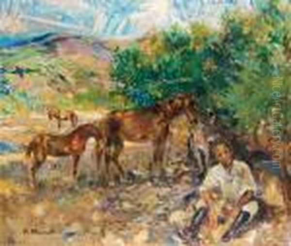 Il Cavallaro - view 1