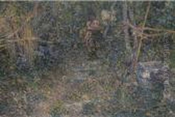 Verso Sera - view 1
