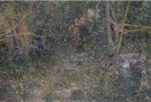 Verso Sera by Plinio Nomellini