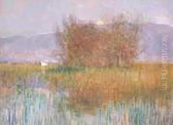 Palude Con
Cespugli - view 1