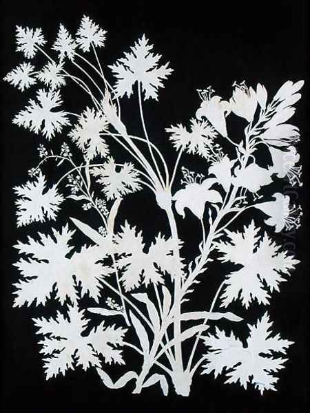 Flowers in Silhouette - view 1