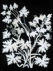 Flowers in Silhouette by Philipp Otto Runge