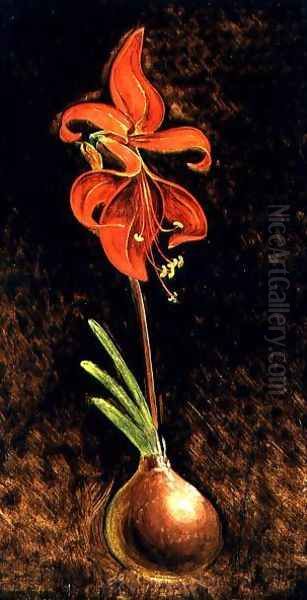 Amaryllis Formosissima, 1808 - view 1