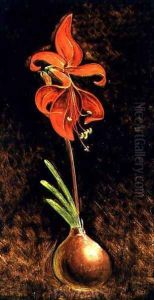 Amaryllis Formosissima, 1808 Amaryllis Formosissima, 1808