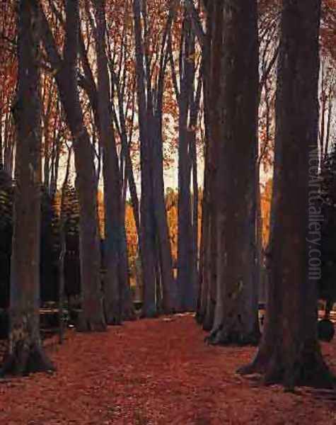 Arboles - view 1