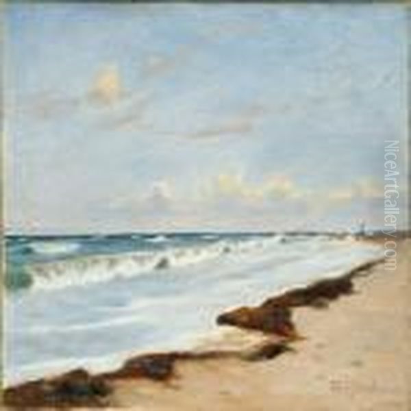 Coastal Scene - view 1