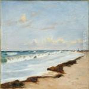 Coastal Scene Coastal Scene