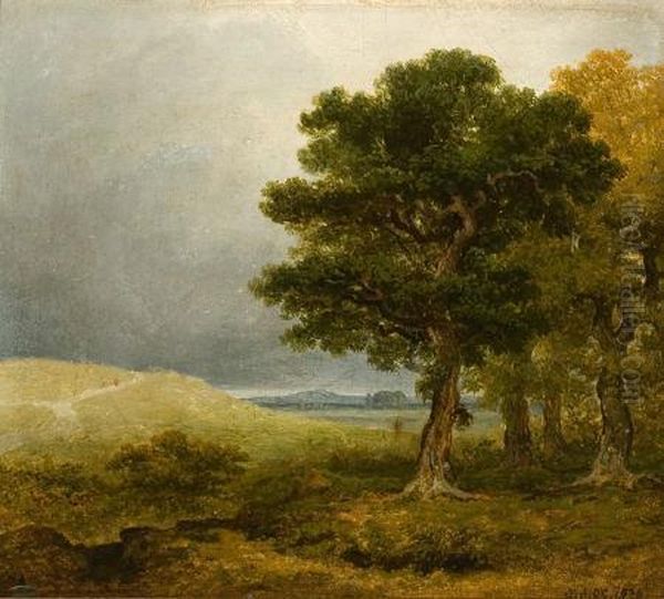 Landscape - view 1