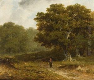 Landscape Landscape