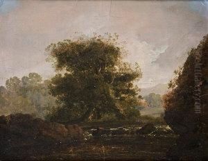 Co. Wicklow River Landscape