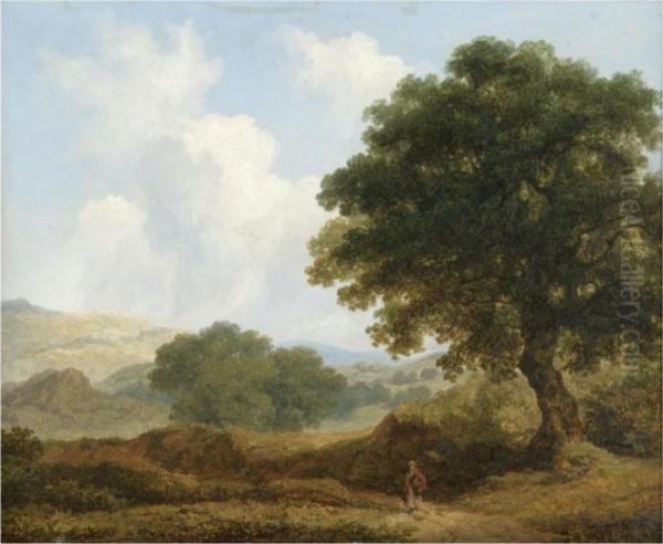 Landscape, View Taken In The County Of Wicklow - view 1