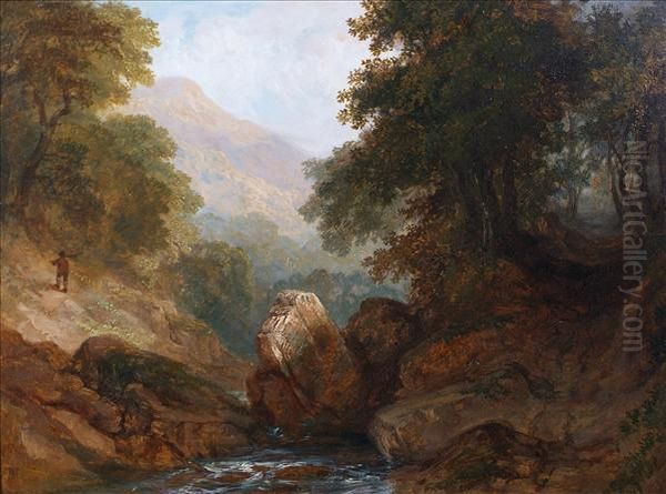 The Dargle,co. Wicklow - view 1