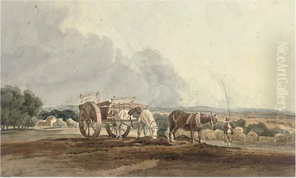 Horses In A Rural Landscape - view 1