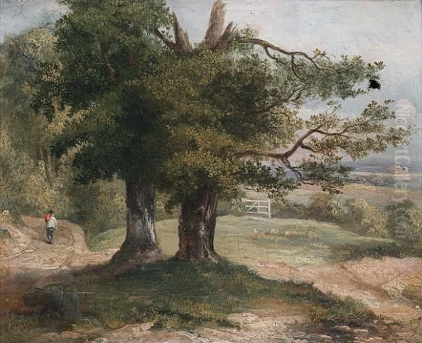 Figure On A Woodland Path - view 1