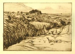 Paysage Sur La Cote