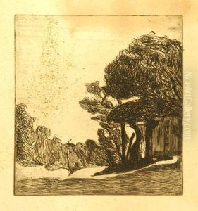 Arbres Dans Un Paysage Arbres Dans Un Paysage