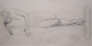 Reclining Nude Reclining Nude