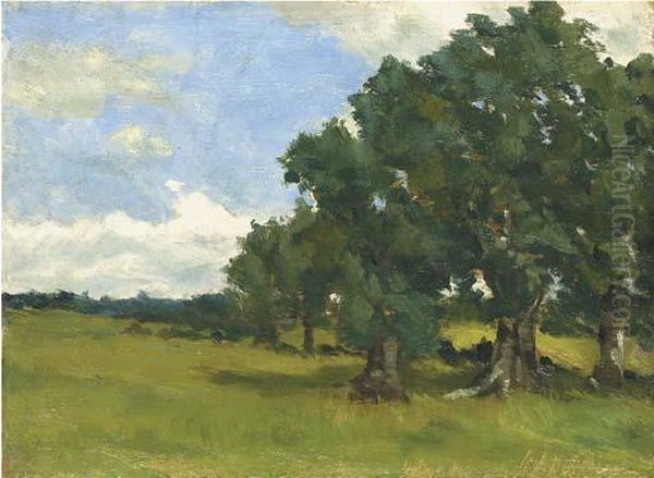 Sunny Day In June - view 1