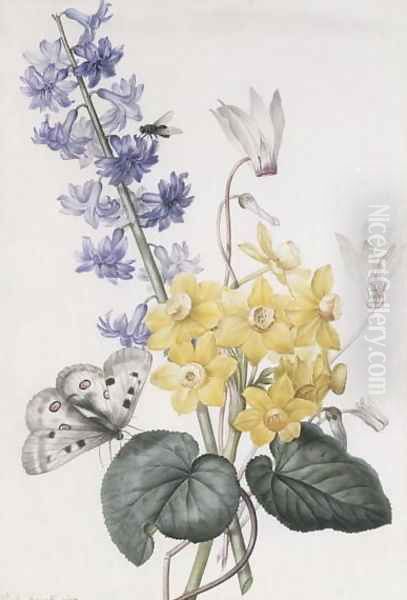 Hyacinth, Cyclamen and Narcissi - view 1