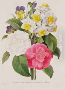 Camellias, Narcissus and Pansies, engraved by Victor, pub. 1827 by Pierre-Joseph Redoute