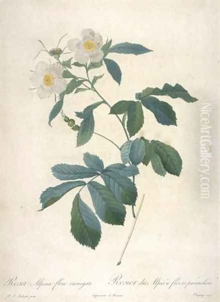 Rosa Alpina - view 1