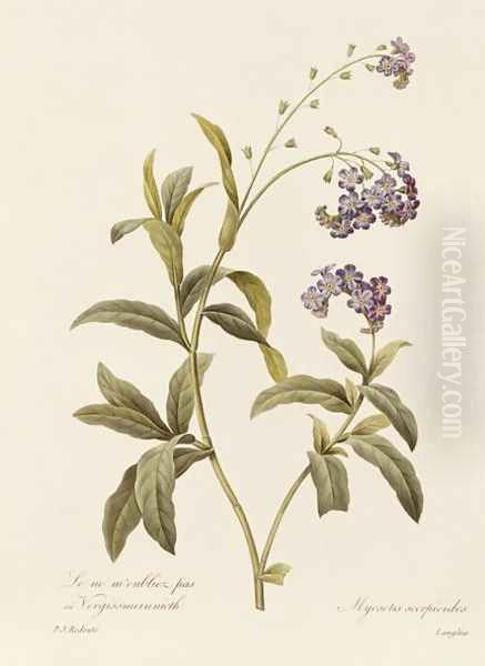 Forget-me-not - view 1