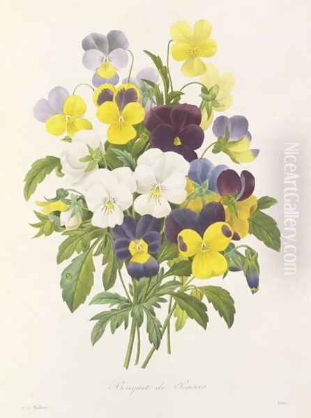 Violas - view 1