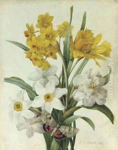 A bouquet of daffodils and narcissi with a red underwing moth by Pierre-Joseph Redoute